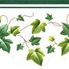 Patton GH74104B Leaf Trail Wallpaper Border, Green