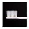 B33 Lion Systema Toothbrush, Slim Head, Compact, 3 Rows, Soft, B33 + Kunutonn Original Logo e Bonus
