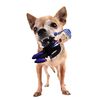 Republican Dogs Sleepy Joe Biden & Nancy Chew Toy Bundle