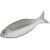 dstyle guilula 2.5" escape fish