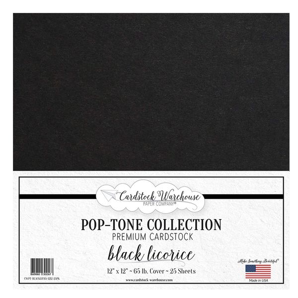 Cardstock Warehouse Pop Tone Black Licorice - 12 x 12" - 65 Lb. / 175 Gsm Matte Premium Cardstock Paper - 25 Sheets