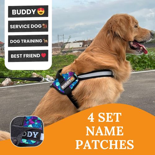 Payton Perry Dog Harness for Large Dogs, No Pull, 3 Leash Clips, No Choke, Reflective, Adjustable, for Easy Walking and Training (Diamond-Blue, L)