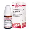 DHU Apis Mellifica D6 Streukügelchen, 10 g Globuli