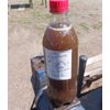 32 Oz. Worm Casting Tea Concentrate Two 16 Oz. Bottles Made On Order 