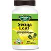 Senna Leaf, Help Increase Muscles in Intestines, Help Promote Bowel Movements