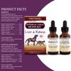 Amber NaturalZ Internal Gold Detox Kit Herbal Supplement Kit for Dogs and Cats | Pet Supplements for Kidney and Liver Support | 2 Amber Glass Bottles (1 fl oz Each) | Manufactured in The USA