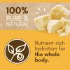 Cococare Coco Cocoa Butter Stick, Stock 100% 1 oz, 8 Pack