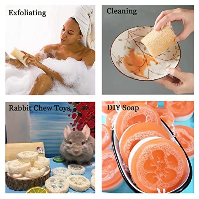 Natural Loofah Sponges 6 PCS Shower Loofah Sponge Body Scrubber Loofah Kitchen  Sponge for Dishes Body