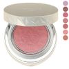 Cosmetic Decorte AQ Blush 02
