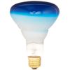 Bulbrite Incandescent BR30 Medium Screw Base (E26) Light Bulb, 75 Watt, Blue