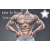 Saw palmetto - PROSTATE SUPPORT - Extract Boost - Vitamion E - 1 Bottle