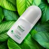 Zermat Vivaze Vivaldi, Natural Roll-On Deodorant, 3 Oz.