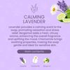 Liquid Hand Soap Refill with Essential Oils, Calming Lavender Scent, 32oz