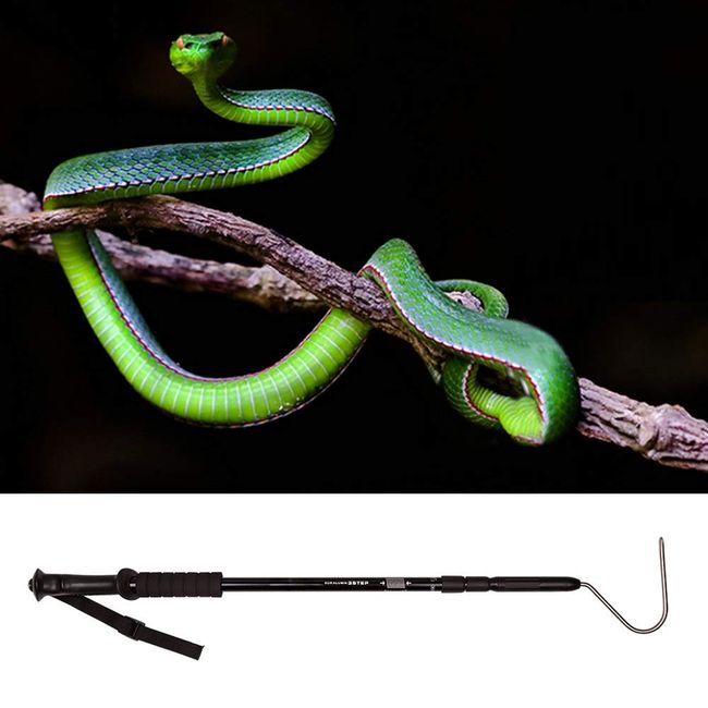 Telescoping Snake Hook and Grabber Reptile Hook for Ball Python Small &  Handling