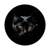 Black Cat Yellow Eyes PopSockets Swappable PopGrip