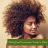Giovanni® EchoChic® TeaTree Triple Treat Invigorating Shampoo, 1000ml