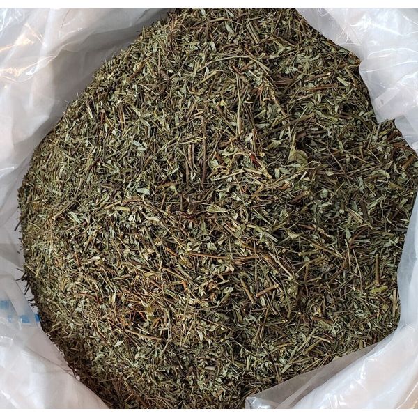 CHANCA PIEDRA HERBAL TEA (1 LB) HERB TEA VALUE PACK FAST SHIPPING !