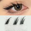 12 Columns Fox False Eyelashes Single Cluster Eyelash Extensions Segment Lashes Fox Eye Effect Lashes Individual False Eyelashes
