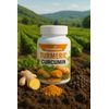 Turmeric High Absorption Formula Helps Maintain Mobility & Flexibility | Natural