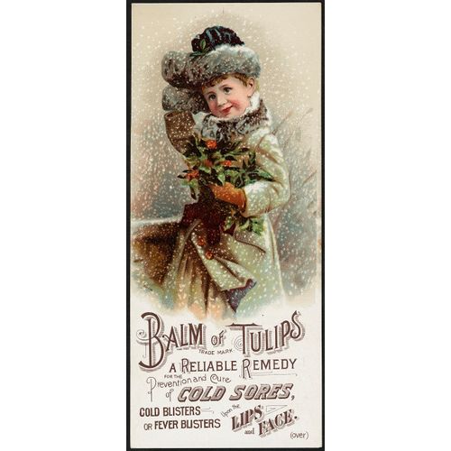 Home Comforts - Balm of Tulips - Vivid Imagery Laminated Poster Print - 12 Inch by 18 Inch Laminated Poster With Bright Colors