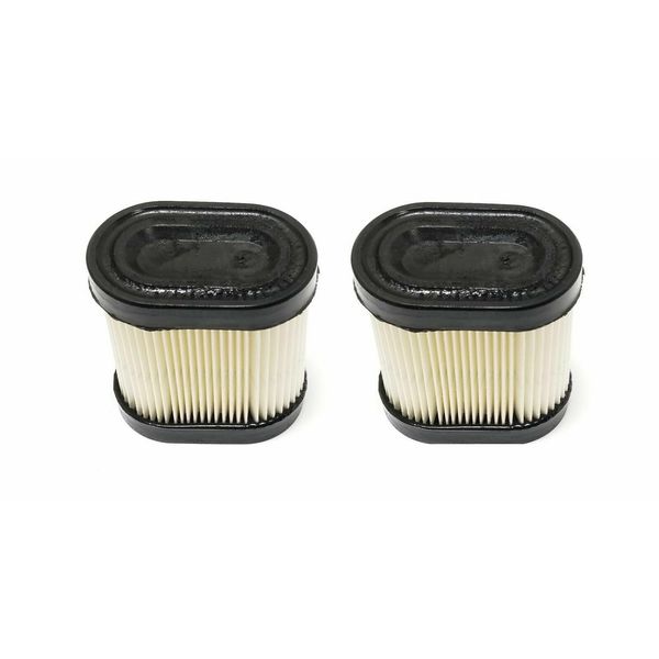 RIVERTON CANDLE & BATH for 2 Filter Cartridges for Tecumseh 36905, 740083A LEV100, LEV115