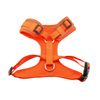 Doodlebone Adjustable Airmesh, Tangerine, 2-3
