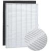 WINIX D480 True HEPA Replacement Filter D4 with 4 Activated CARBON filters(1+4)