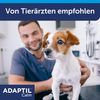 ADAPTIL Calm Collar for Small Dogs