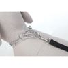 TRIXIE Chrome Long Link Choke Chain, 66 x 4 mm Thickness