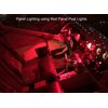 LED Panel Post Light 12 VDC - Waterproof & Vibration Proof - RED LED, 24V