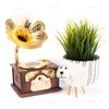 AUEAR, Classical Gramophone Music Box Clockwork Brown for Home Table Desk Decorations