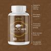 LipoCaps- Keto & Weight Support- 10 Bottles- 600 Capsules