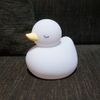 EX-3277 Hassey Top-in Interior Light, Duck Nightlight, Mini, White