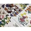 Anna Griffin Antique Botanical Die Cuts 8 Sheets