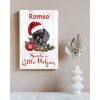 Personalized Dachshund Christmas Decoration - 16.5" x 10.5"