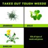 1 Gal. Ready-to-Use Groundclear Weed/Grass Killer