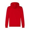 FC Bayern München Essential Zip Hoodie Men's Red, red