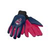 FOCO Cleveland Indians 2015 Utility Glove - Colored Palm