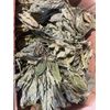 Wild American Ginseng Leaf Extract 1Fl Oz Dropper Bottle
