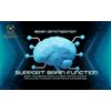 MIND MATRIX - Cognitive Function Nootropic Support, Brain Supplement for Both