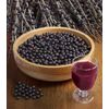 Antioxidant Focus - ACAI BERRY EXTRACT - 1B 60 Caps