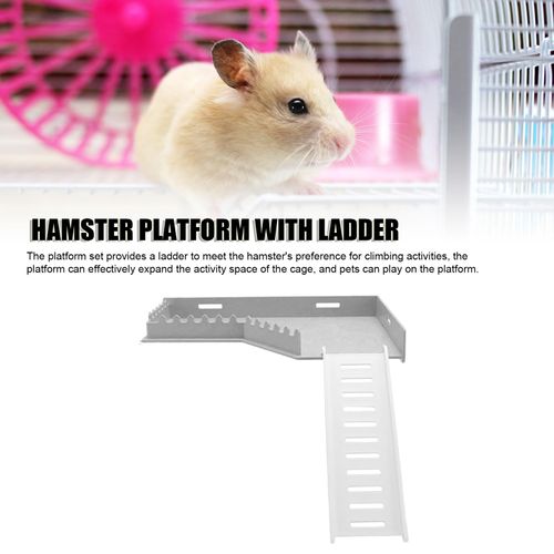 Hamster, Injection Molding Plastic Climbing Ladder Toy for Squirrel Guinea Pig Gerbil, Multipurpose Hamster Ladder for Small Animals, Increase Activity Space (L Shape)