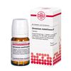 Chromium metallicum D6 DHU Tabletten, 80 St. Tabletten
