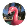 Flamingo Pool Float Tropical Kalifornien PopSockets mit austauschbarem PopGrip