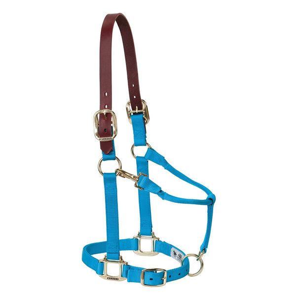 Weaver Leather Nylon Adjustable Breakaway Horse Halter, Average, Hurricane Blue