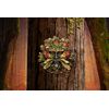 Nemesis Now Summer Solstice Wall Plaque, Green, 13cm