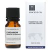 Cardamom 10ml Incent Essential Oil Essential Oil