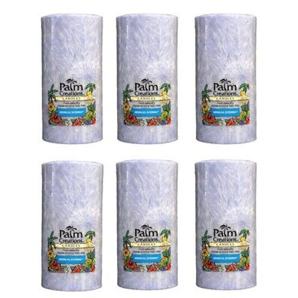 Scented Pillar Candles 6" Tall 6-Piece Sensual Evening Blue Nature's Finest 742