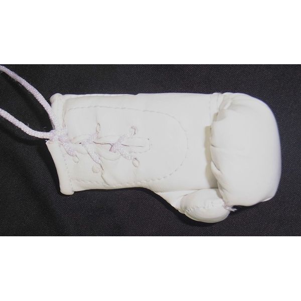 Renault trucks WHITE GlovesMini Boxing Gloves for lorries/trucks.