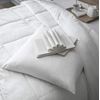 Today Absorbent Pillow Protector 60/60 Anti-Mite, cotton, White